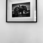 Studio Batignolles
